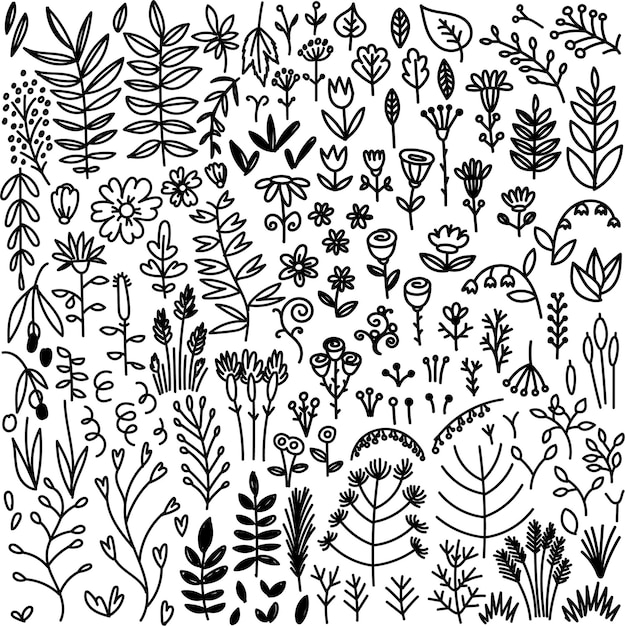 Big doodle floral set botanical vector collection