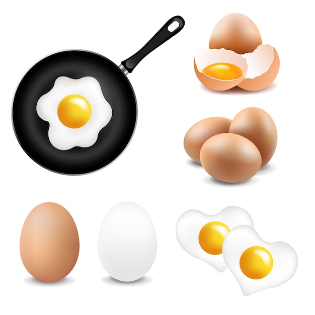 Vector big eggs collection white background