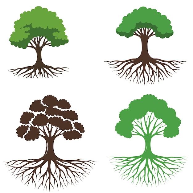 Big green tree with roots beneath Colonial Roots Tree set vector Collection Tree Illustrations