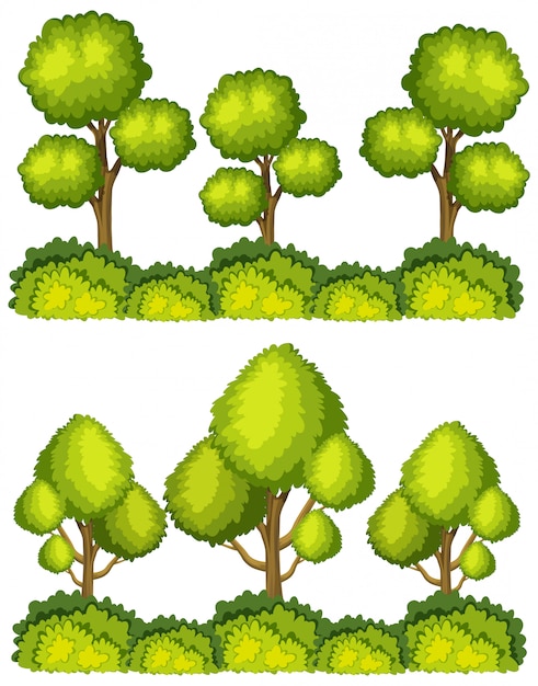 Большие зеленые деревья на белом фоне