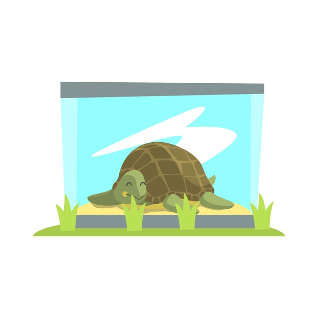 Вектор Большая зеленая черепаха, лежащая внутри стеклянного террариума в зоопарке