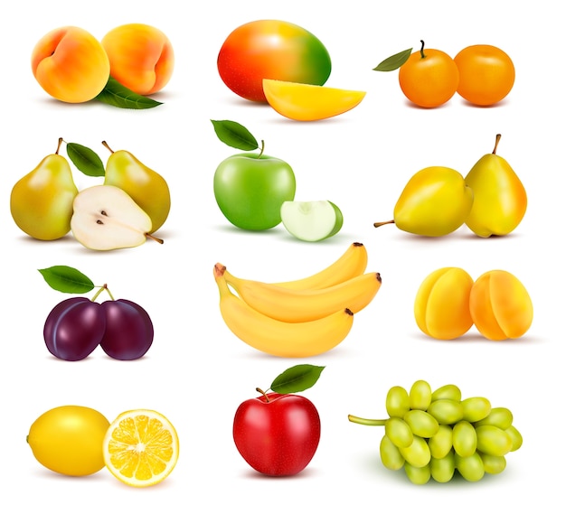 Vector big group of different fruit isolated on white