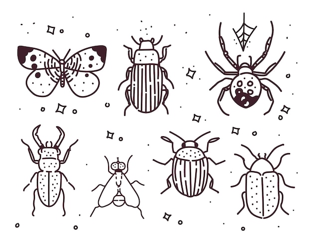 Vector big hand drawn line set of insects . insects  illustration