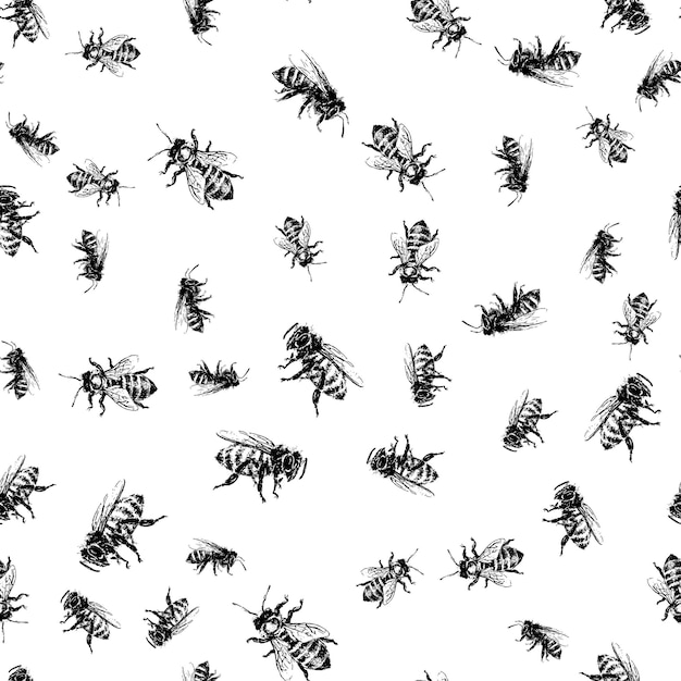 Big honey bee big wasp small funny bee insects illustration seamless pattern