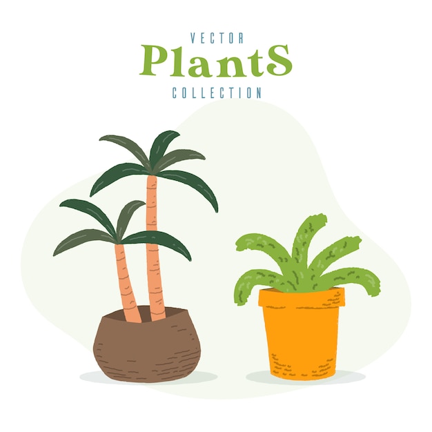 Vector big indoor plants