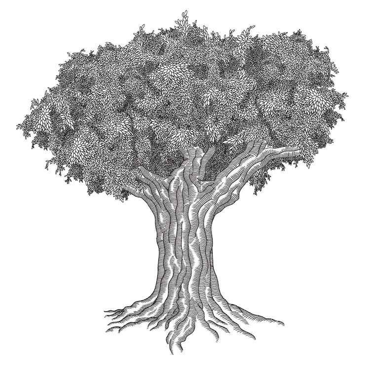 Vector big old tree with powerful branches with leaves. vector graphic linear drawing