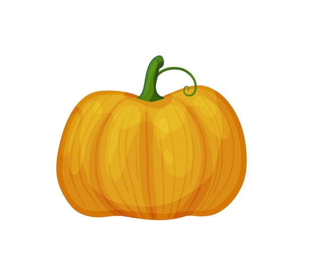 Вектор Большая оранжевая тыква вектор спелая тыква традиционная осенняя еда на хэллоуин и день благодарения