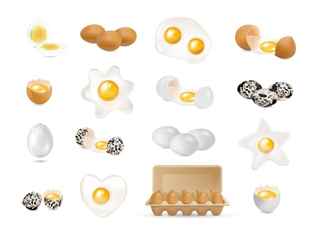 Vector big realistic set of isolated raw and cooked hen and quail eggs vector illustration