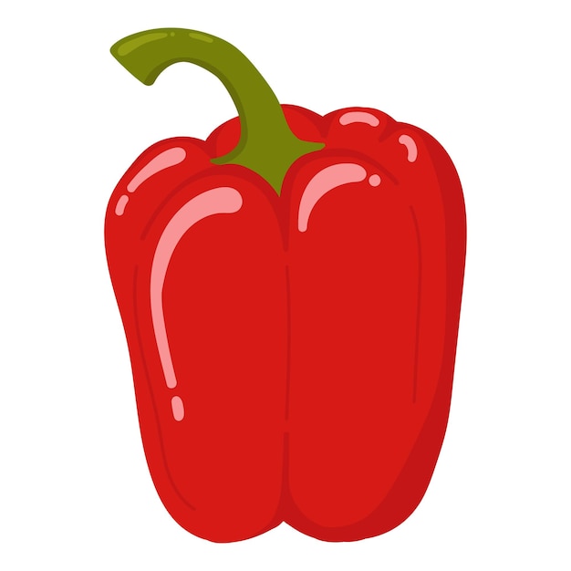 Big red pepper Vector image of an pepper Hot pepper