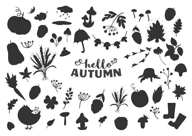 Big set of autumn clipart silhouettes. Cute black and white fall season icons