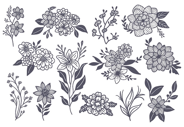 Big set of botanical flower and leaf doodle element