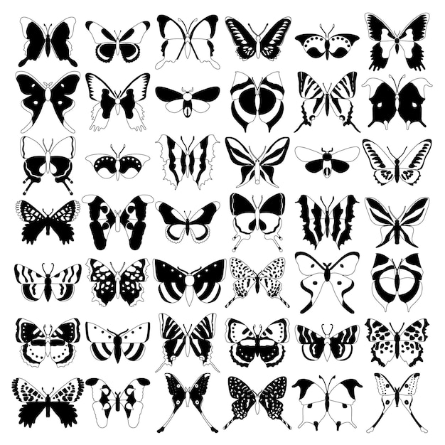 Big set butterflies on a white background drawing decorative insect silhouettes hand draw vector