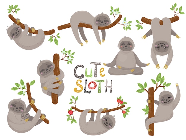 Big set of cute sloths character in various positions