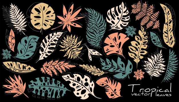 Vector big set of decorative tropical leaves