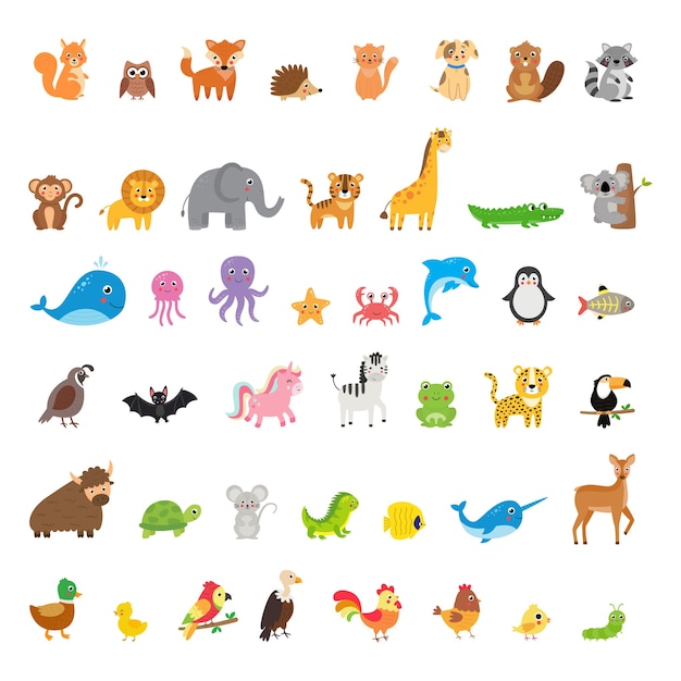 Big set of different animals and birds in cartoon style