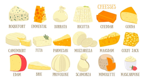 Vector big set of different types of cheese isolated on white background vector image