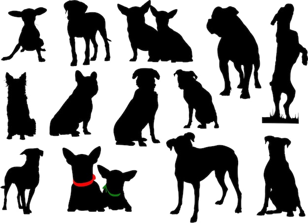 Big set of dog silhouettes Vector illustration