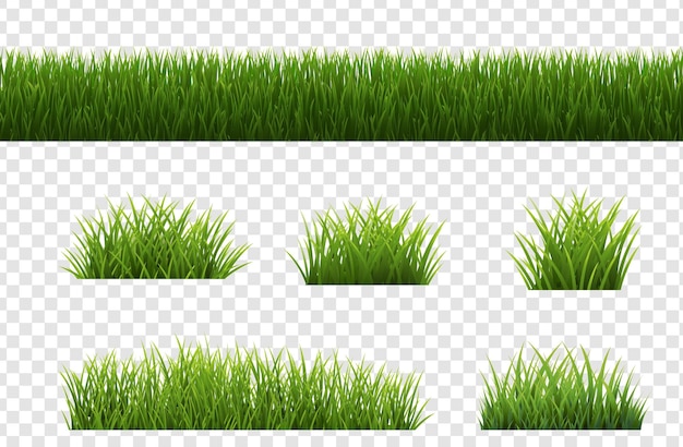 Vector big set grass panorama transparent background