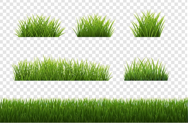 Большой набор травы панорама белом фоне
