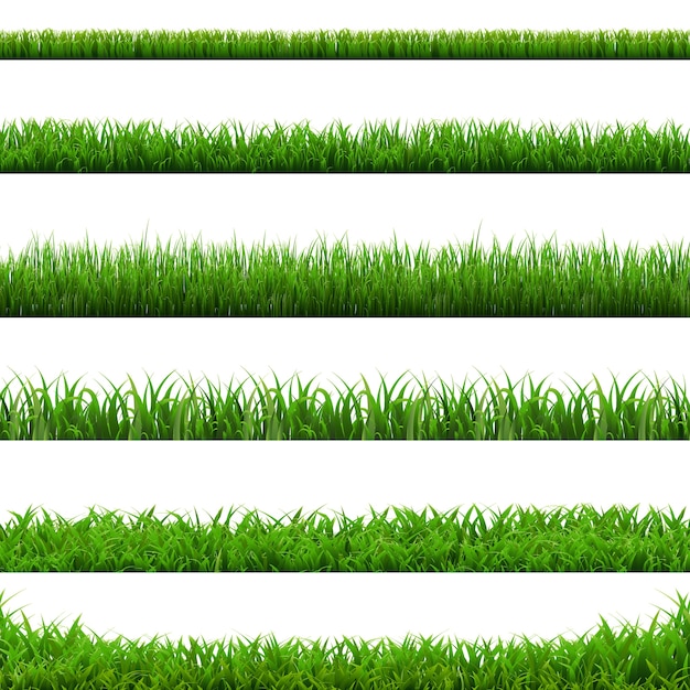 Vector big set green grass borders illustration