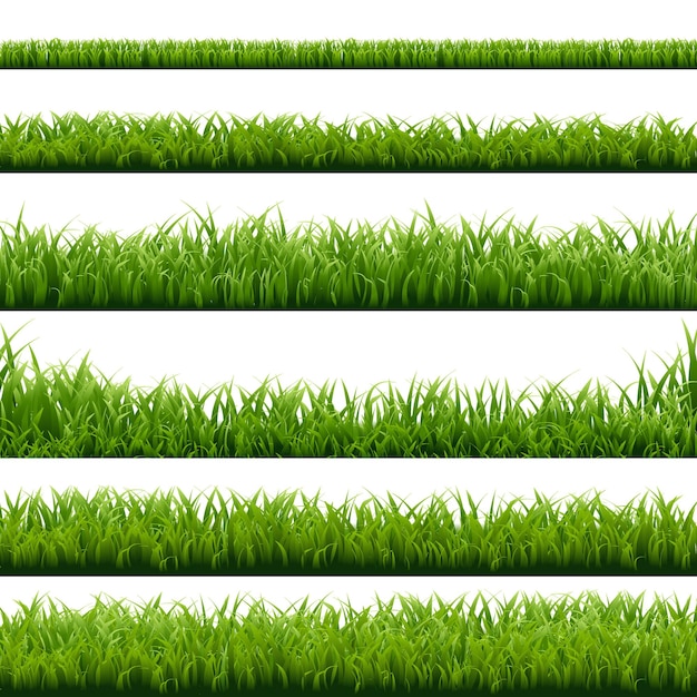 Big set green grass borders, illustration