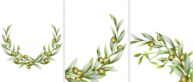 Vector big set of green olive wreath