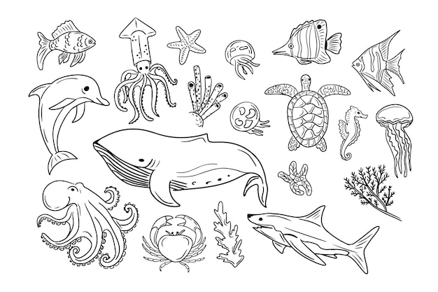 Big set of hand drawn doodle sea creatures Vector isolated black sketches on white background