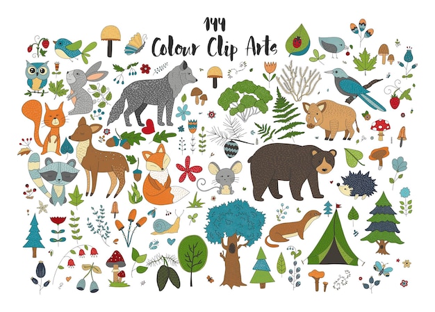 Grande set di illustrazioni forestali disegnate a mano con animali dei cartoni animati a colori
