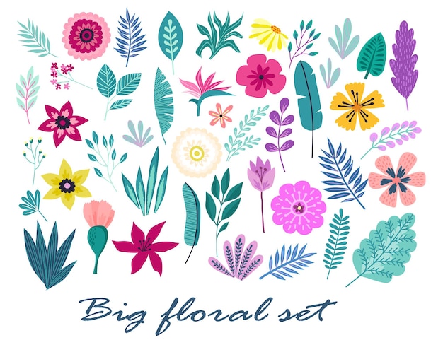 A big set of hand-drawn tropical flowers, palm leaves and branches.. Summer illustration Concept with tropical flowers hibiscus. Template Vector.