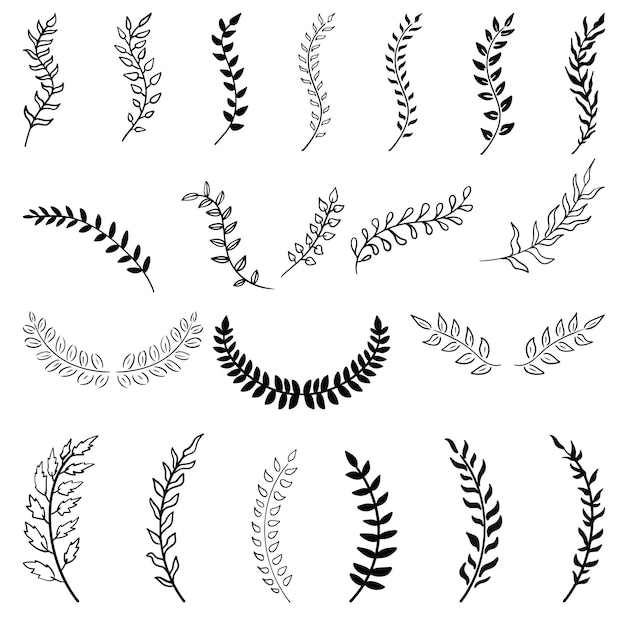 Big set of hand drawn vector leaves and branches