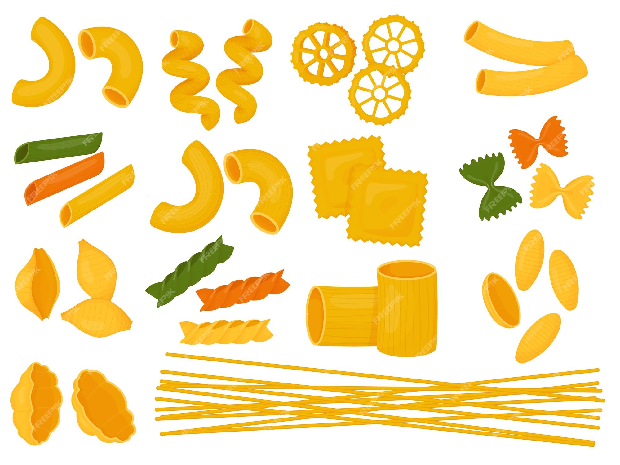 Set of different types pasta Royalty Free Vector Image