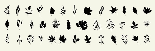 Vector big set of leaf silhouettes autumn and spring background collection of leaves of fern maple chestnut birch rowan oak willow lilac aspen ash ginkgo biloba stock vector illustration