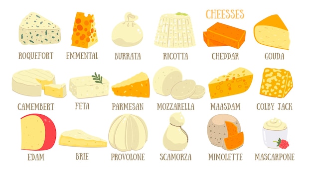 Вектор Большой набор различных видов сыра на белом фоне. векторное изображение.