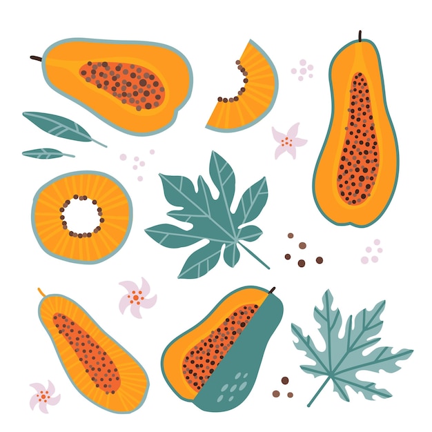 Большой набор изолированных папайи целых и ломтиков фруктовых цветов и оранжевых листьев тропических пищевых элементов в м