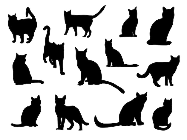 big set of shadows silhouettes of cats halloween vector