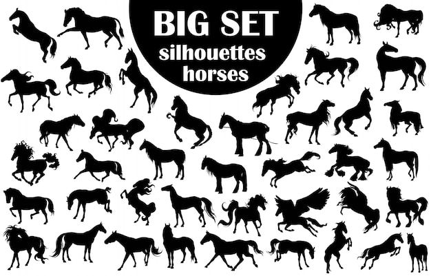 Big set silhouettes horses