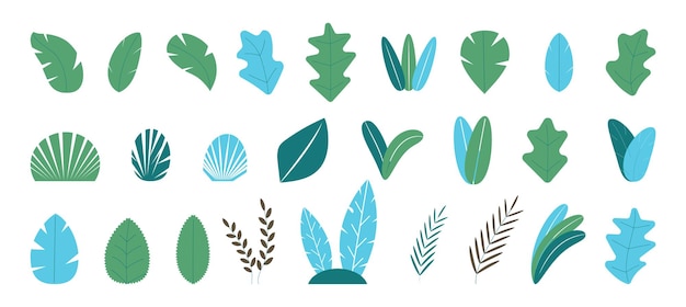 Big set of trees Plants trees tropical leaves collection vector Branches bushes fir signs