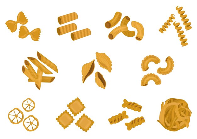 Vector big set with the different types of italian pasta vector illustration isolated on white background