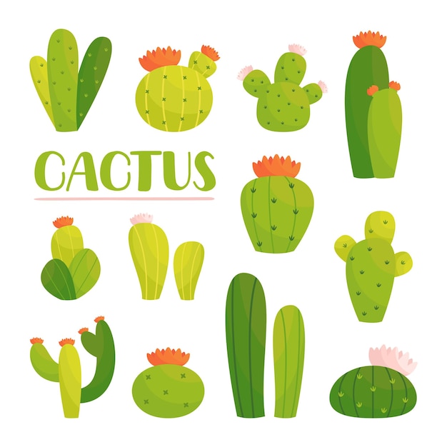 big and small plant cactuses illustrations set