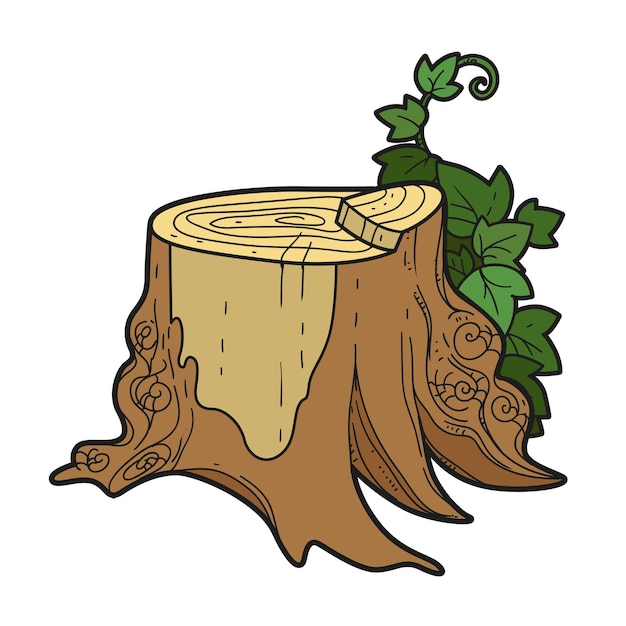 Vector big stump with ivy color variation for coloring page isolated on white background