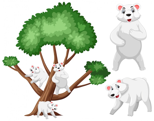 Big tree and polar bears on white