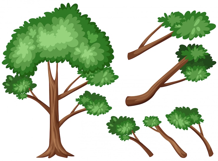 Vector big tree and set of branches 