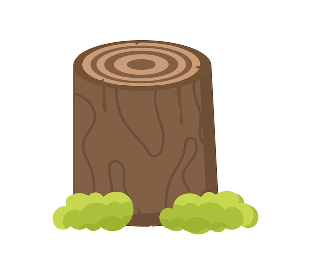 Big tree stump