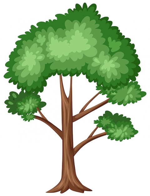 Vector big tree with many branches 