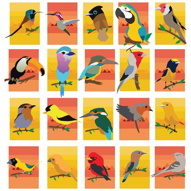 漫画のスタイルで鳥と大きなベクトルを設定します。カラフルな背景に鳥のベクトル コレクション。