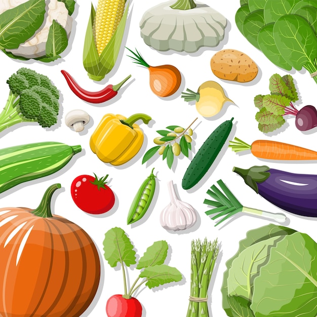 Big vegetable isolated icon set. onion, eggplant, cabbage, pepper, pumpkin, cucumber, tomato carrot and other vegetables. organic healthy food. vegetarian nutrition. vector illustration in flat style