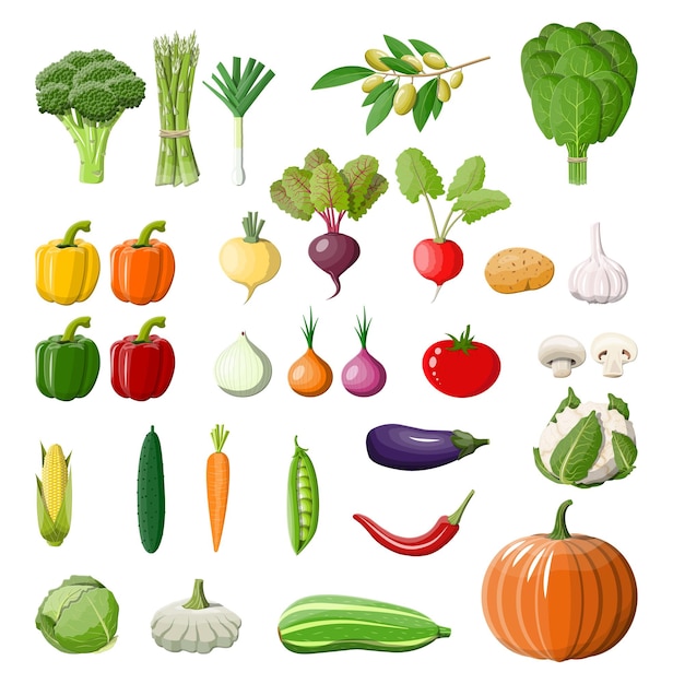 Big vegetable isolated icon set.