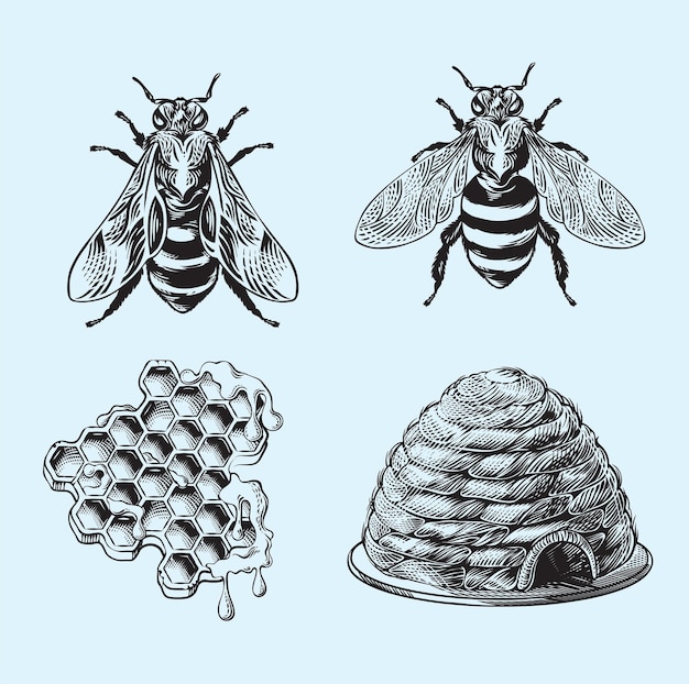 Bijen insecten dieren schets gravure raster illustratie T-shirt kleding print ontwerp krabbelbord
