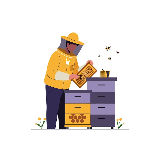 Bijenhouder inspecteert honingraatframes in platte vectorillustratie stijl