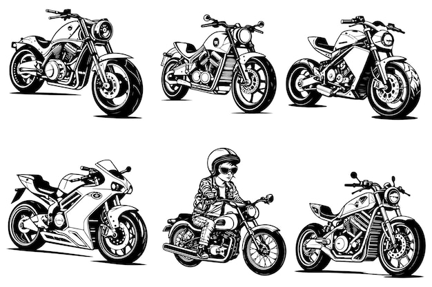 Vector bike vector illustration